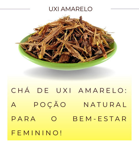 Chá De Uxi Amarelo | Autentico Endopleura Uchi 2