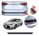 Kenny Toyota Corolla 2022 Hybrid Bumper Protector Trim 4