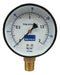 Beyca Manometer 100 Mm Rosca /1/2 2 Kg. MM4-38 2 0