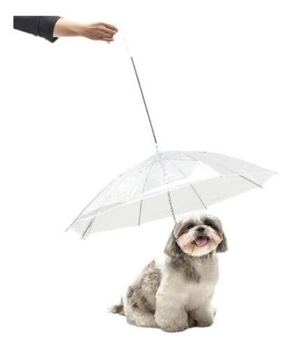 Oh My Pet Transparent Umbrella for Dogs - Protects from Rain 0