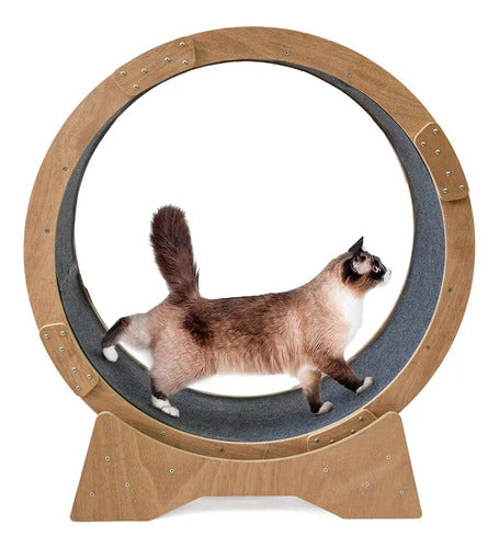 Generic Exercise and Fun Wheel for Cats and Dogs 0