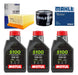 Ryd Kit Service BMW F 800 GS 08-18 Mahle + Motul Oil 0