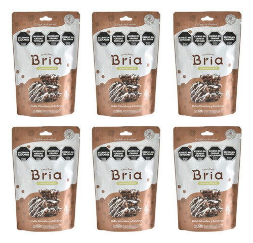 Bria Pack X 6 Snack Quinoa Chocolate and Blueberries 100 G 0