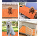 Alfombrillas Para Mascotas Amofy, 43  X26 , Excepcionalmente 3