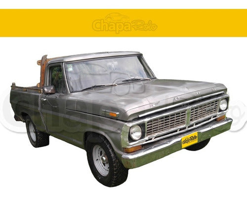 Right Door Panel for Ford F100 1967 to 1973 1