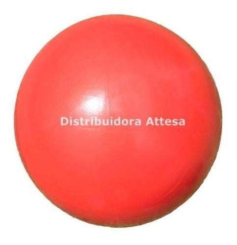 Pelota Esferodinamia Gym Ball 45 Cm 450 Gramos Pilates Rehab 1