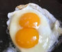 Organic Free-Range Pastoral Eggs with Orange Yolk - High Quality - Pack of 30 8