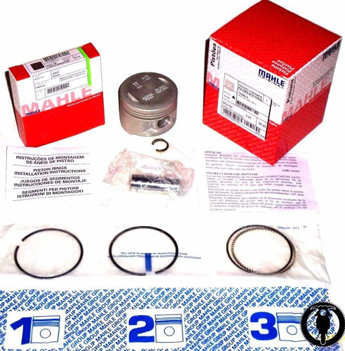 Kit Piston Mahle Honda Xre 300 0.75 = 79,75 Mm Solo Fas 0