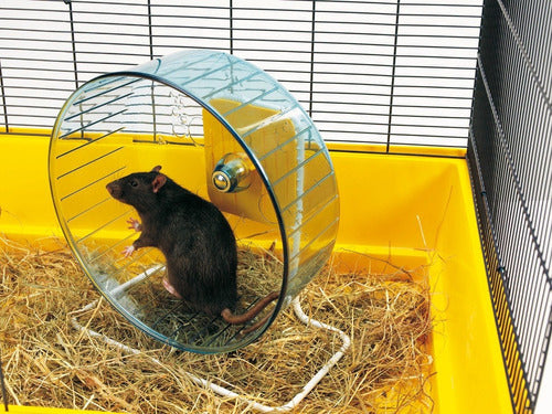 Large Exercise Wheel for Silent Imported Rat 27cm 2