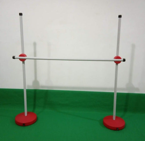 SC Jumping Hurdle Adjustable Coordination Ladder and Cones 1