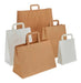 CICCARIELLO Brown Premium Bag with Handles - 32x30x12 cm - 200 Units 4