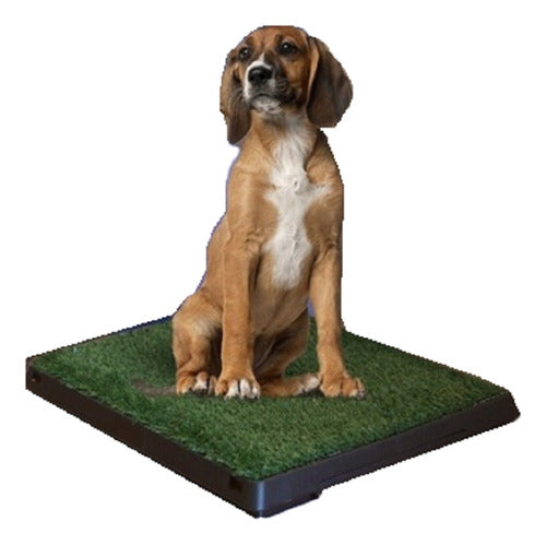 Dog's Stuff Deluxe Synthetic Grass Dog Toilet Tray Large 0