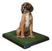 Dog's Stuff Deluxe Synthetic Grass Dog Toilet Tray Large 0