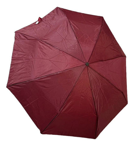 LeviBlanc Portable Folding Wallet Umbrella 2