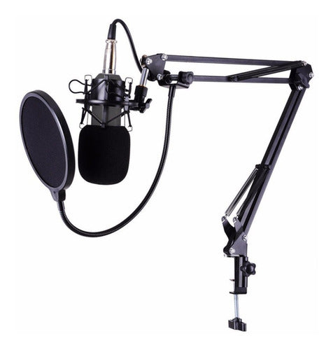 FEBO Microphone Support Arm + Anti Pop Filter Pro 0