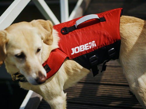 Jobe Dog Life Jacket Size M for Pool and Sea 1