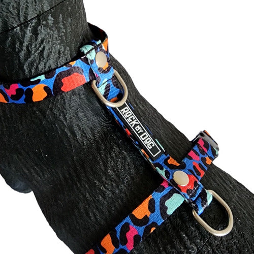 Adjustable Small Size Harness for Small Breeds - Mini Poodles, Dachshunds 3
