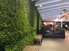 Just Green Artificial Vertical Garden Wall Panel Crispy 25 X 25 4