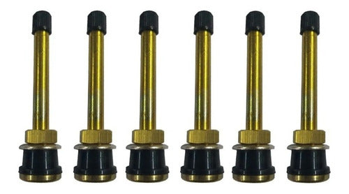 VIGOMAQ Kit 6 Straight Short Valves Brass for Truck Tire TR571 0