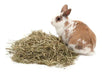 Natural Meadow Hay for Rabbits, Guinea Pigs, Hamsters x 10 Units Wholesale Price! 4