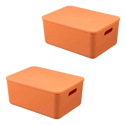 Generic Canasto Caja Organizador Plastico Cesto Con Tapa 36x26x16cm 0