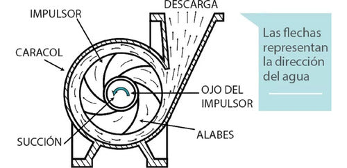 Czerweny Impulsor / Turbina Noryl Para Bomba De Agua Zeta 4 2