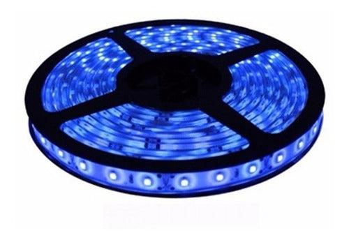 Led Cinta Led 3528 Azul 12V x 5 Metros 0