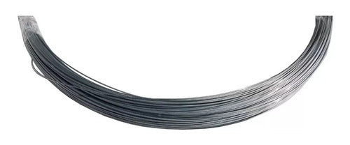 Galvanized Smooth Wire Nº14 (1.85mm) - 2 Kg Roll 1