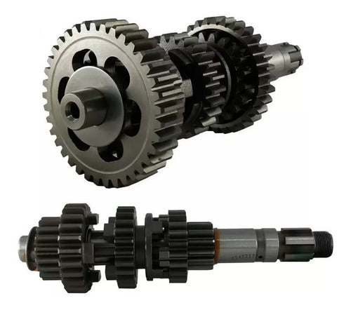 Coyote Mondial HD 250 254 Gearbox 0