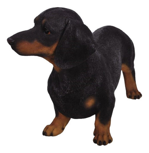 Pacific Giftware Pt Large Black And Tan Dachshund Statue 1