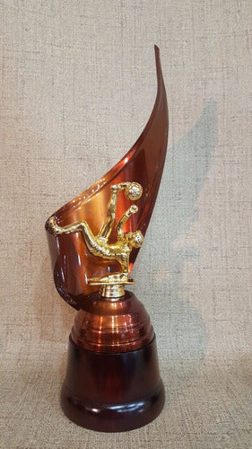 CABPremiaciones Trofeo Metálico Fútbol Chilena Oro Goleador 28cm Base Madera 1