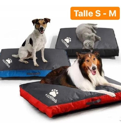 Cotitas Premium Waterproof Anti-Tear Dog Bed Mattress 7