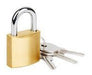 Ynter Industrial Brass Padlock 32mm X3 Uni - Ynter Industrial 0