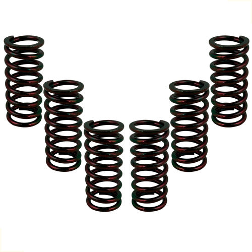 ProX Racing Parts Clutch Spring Kit for Honda CR 500 R 1990-2001 0