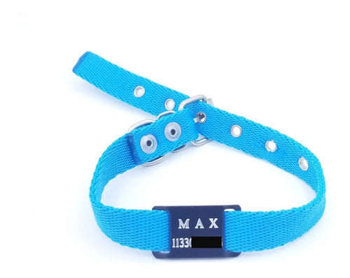 Colorful Dog Tag with 2cm Collar Attachment 5