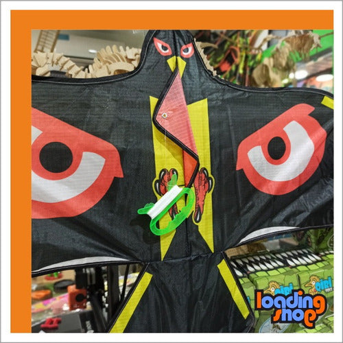 LS Combo Cometa Barrilete Forma Aguila Con Ojos + Frisbee 4