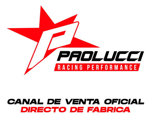 Paolucci Racing Performance Escape Competicion Rs200 - Fabrica 6