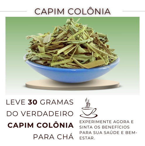 Chá De Capim Colônia-erva Pura De Alta Qualidade 30g 1