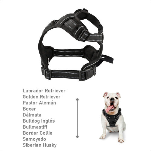 Belmotec Adjustable and Regulated Harness for Dogs Size L 5