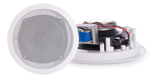 VMR Rooftop 5T Ceiling Speaker 0