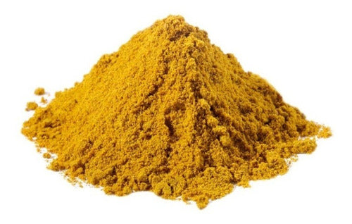 New Garden Curry Powder 100g 0