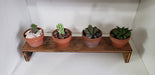 Artesanal Plant Holder for Cactus and Succulent - Double Wood with Pots 5