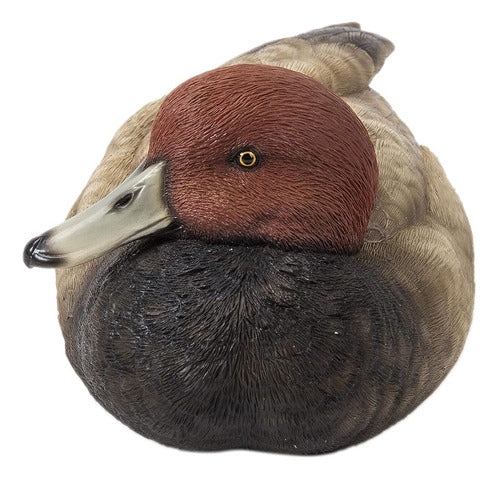 Hi-Line Gift: 87682-B Mallard with Redhead 0