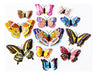 Dagou 3D Luminous Butterfly Wall Stickers (12 Pcs) 1