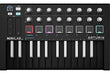 Arturia MiniLab MKII Inverted Black MIDI Controller 0