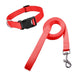 Nylon Collar and Leash Set for Dogs and Cats Various Sizes 30