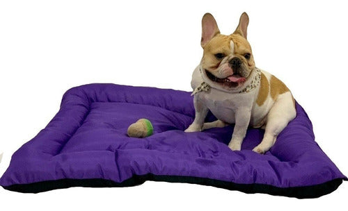 Fidelna Medium Washable Dog Mattress 70x50cm 0