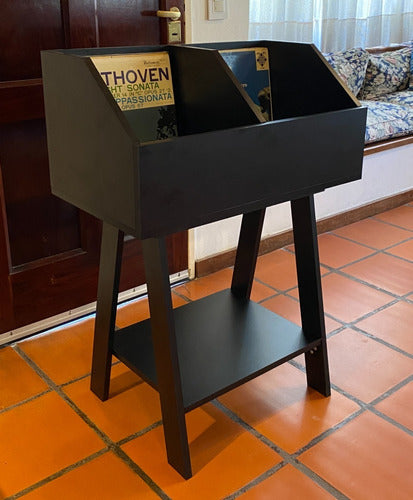 ElCarpointero Vinyl Record Stand with or Without Central Divider 5