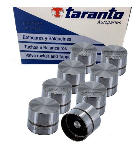 Taranto Hydraulic Lifters for VW Pointer / Orion 1