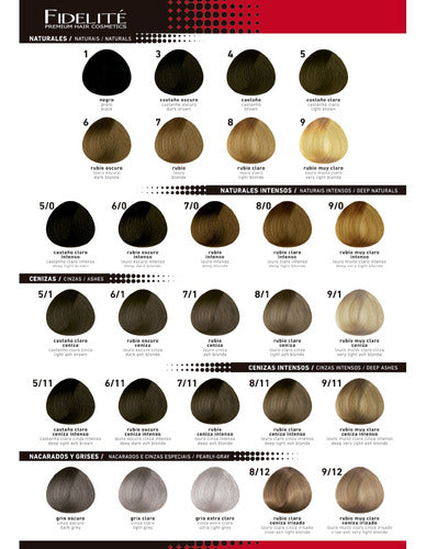 48 Color Master Tints + 1 Kg Argan Mask - Fidelité 3